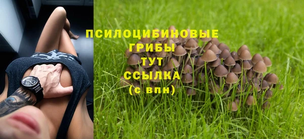 а пвп мука Нея