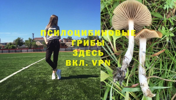 а пвп мука Нея