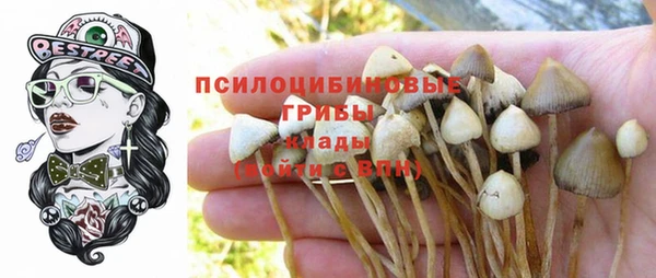 таблы Нефтегорск