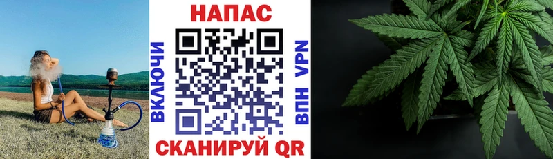 Купить закладки  Алзамай  Конопля MAZAR 